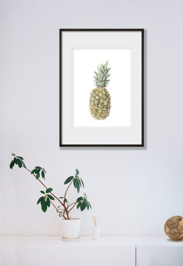 Framed botanical art of a pineapple in colored pencils, hanging on a wall over a counter top