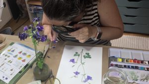 Artist Victoria Beyer observing a plant through a magnifying glass to illustrate.
